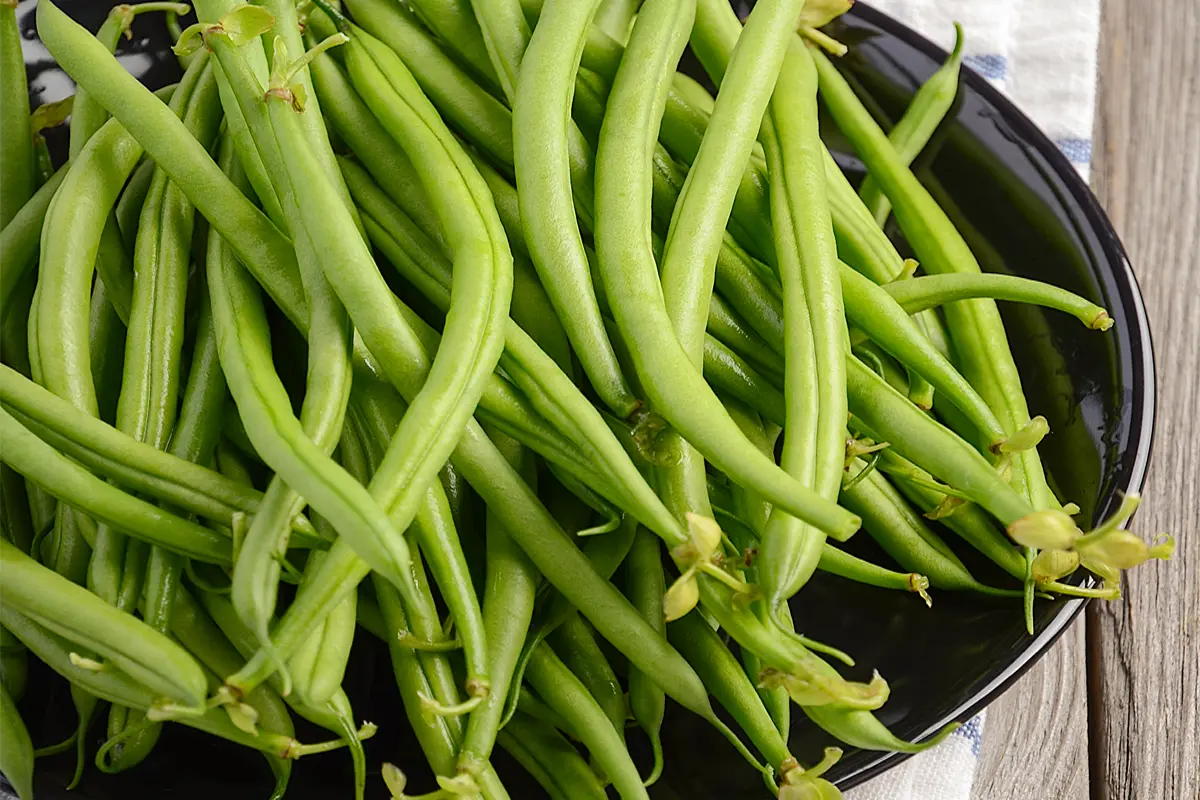 Haricots Verts